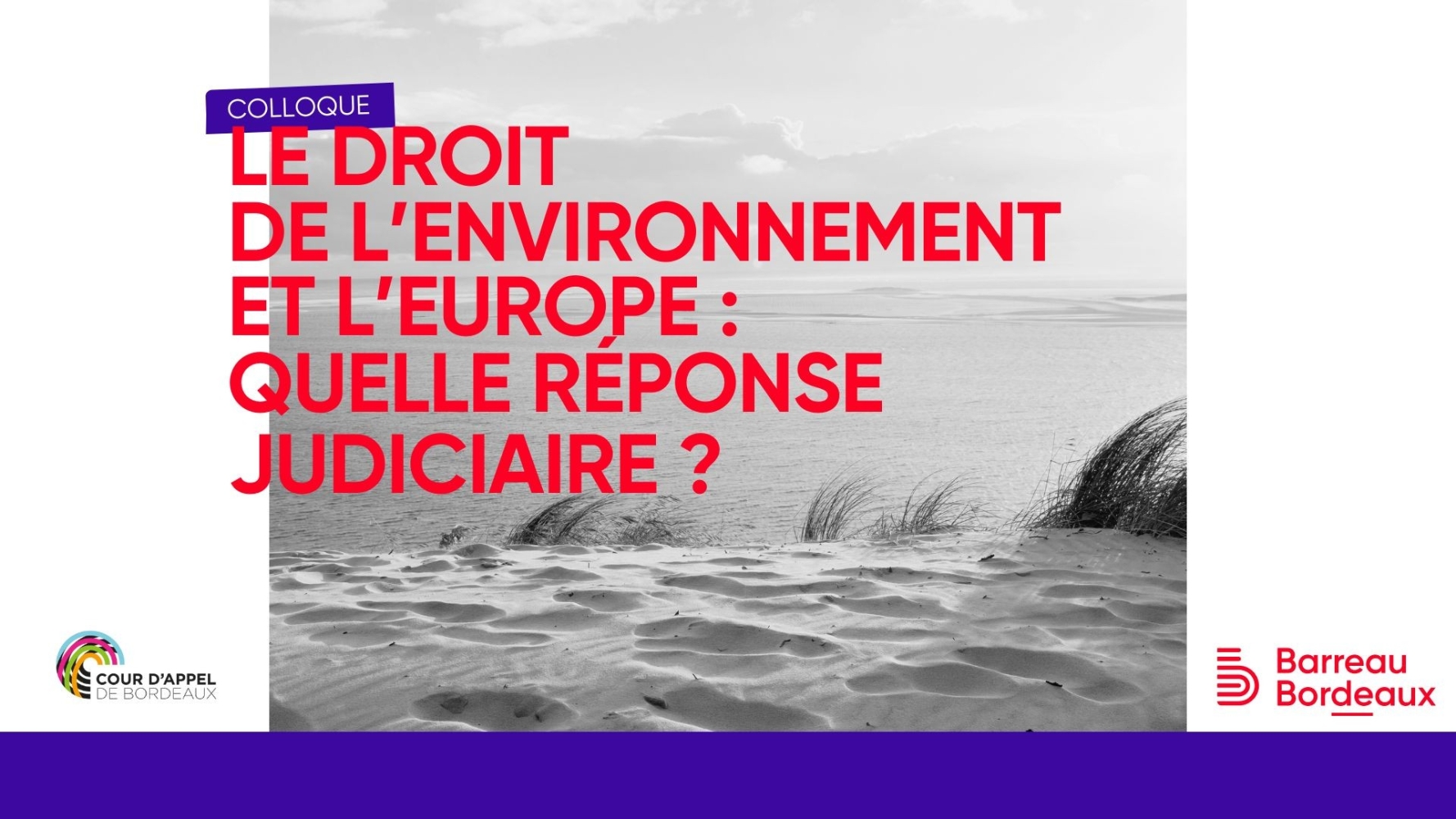 Colloque - Le droit de l’environnement et l’Europe : quelle réponse judiciaire ?